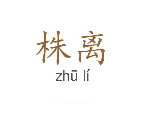 株离