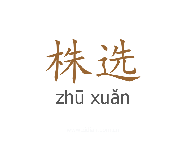 株选
