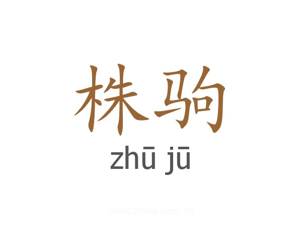 株驹