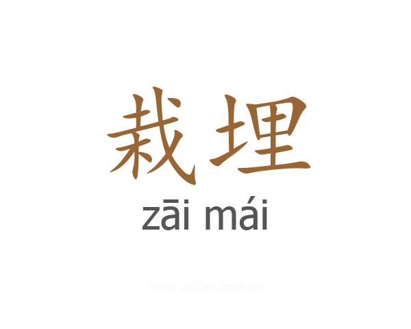 栽埋