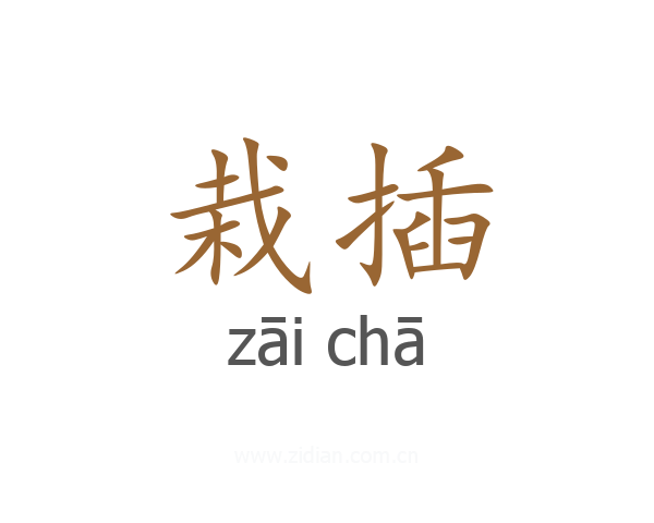 栽插