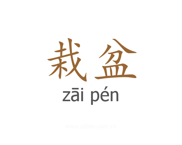 栽盆