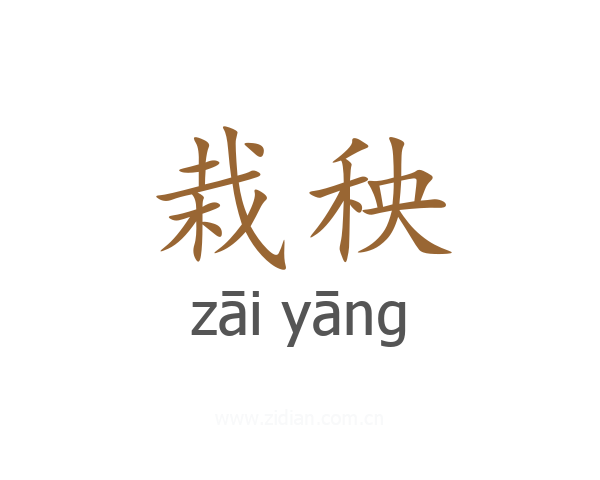 栽秧
