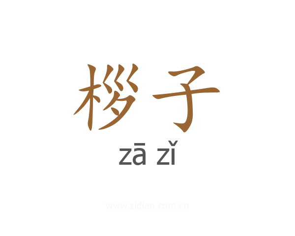 桚子