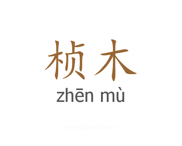 桢木