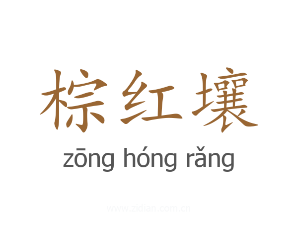棕红壤