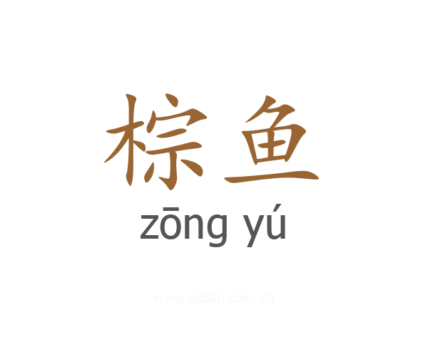 棕鱼