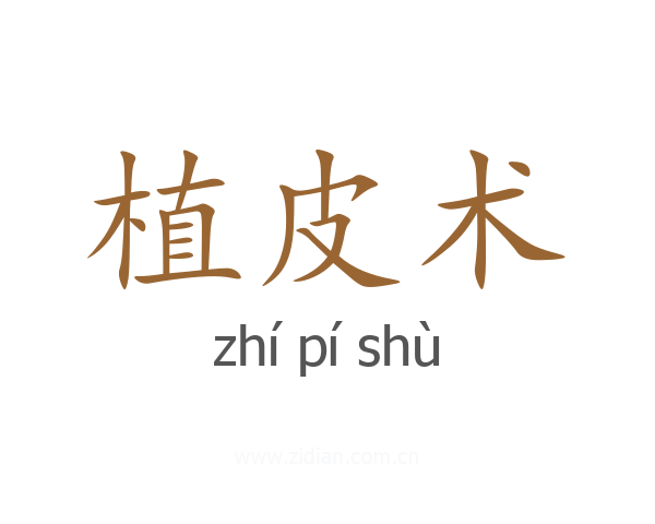 植皮术