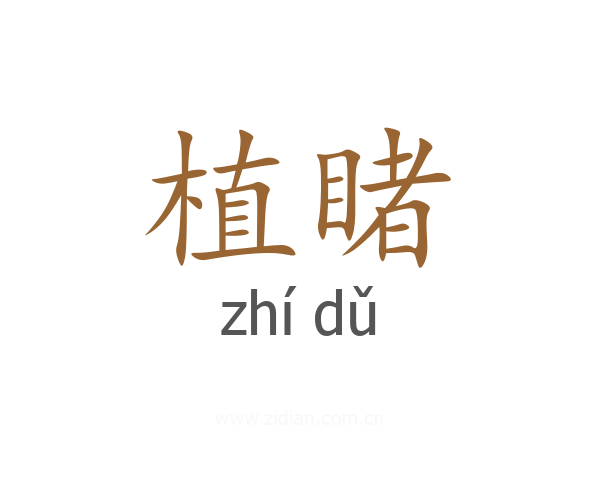 植睹