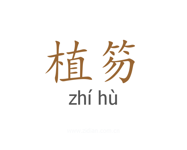 植笏