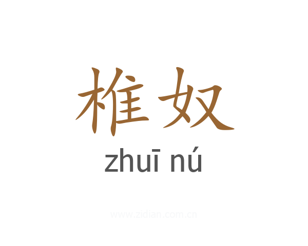 椎奴