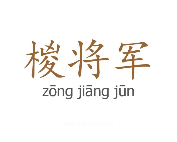 椶将军