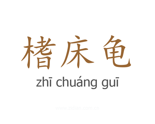 榰床龟