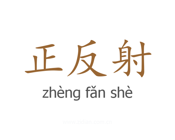 正反射