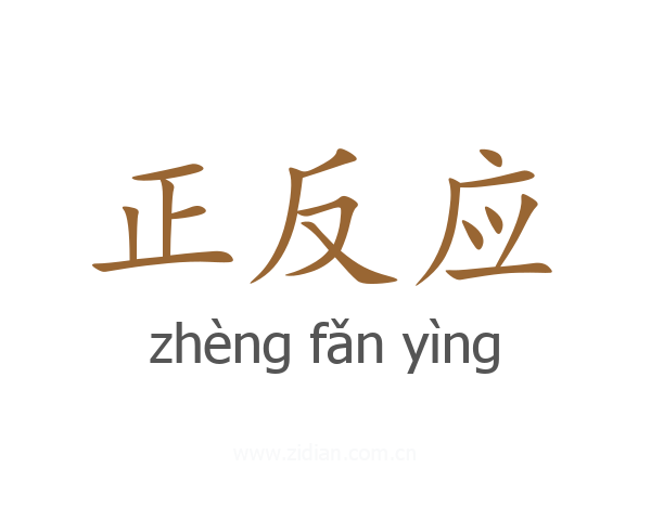 正反应