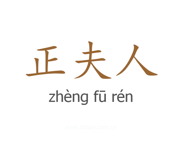 正夫人