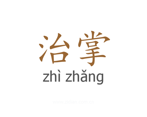 治掌