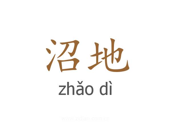 沼地