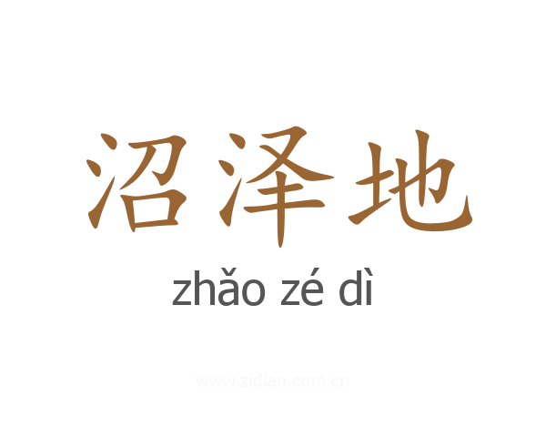 沼泽地