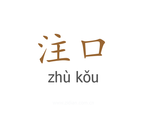 注口