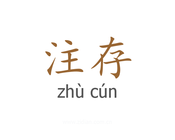 注存