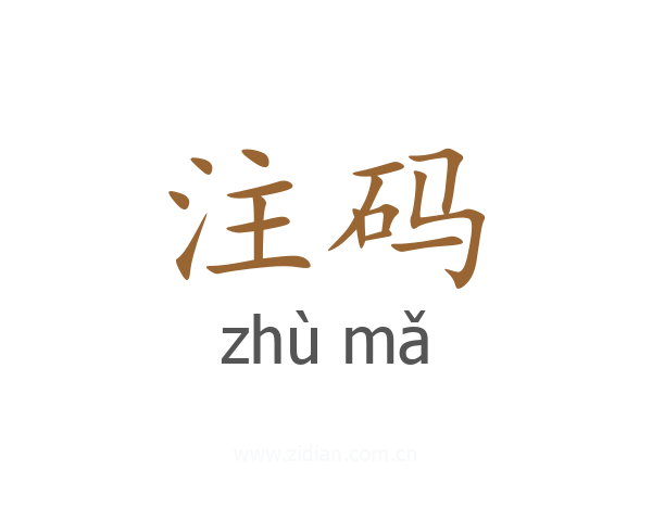 注码