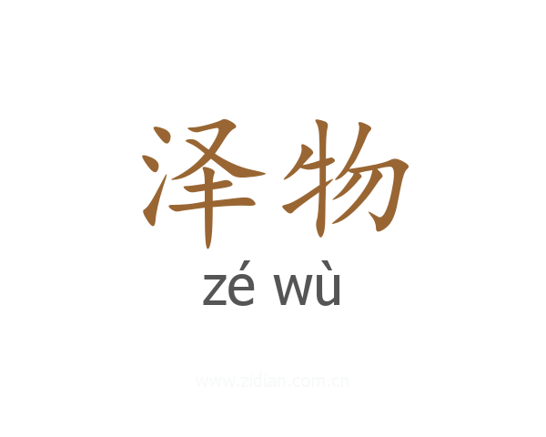 泽物