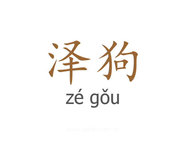 泽狗