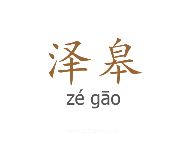 泽皋