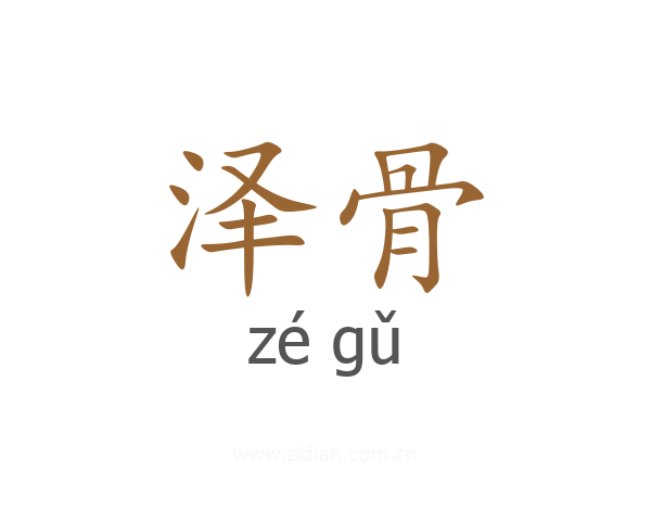 泽骨