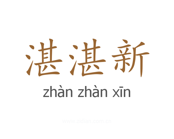 湛湛新