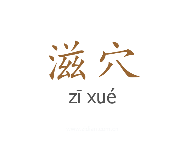 滋穴
