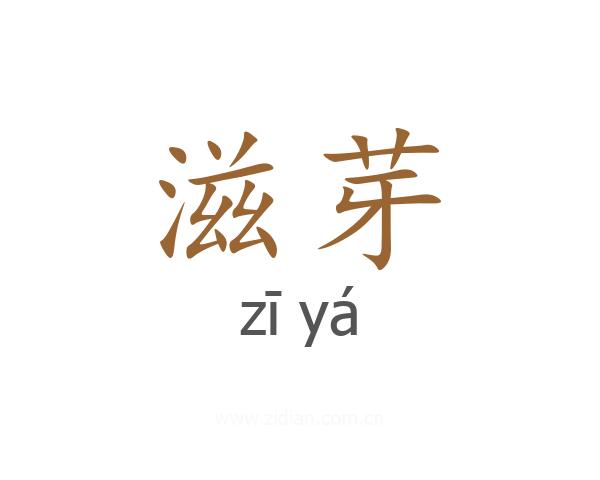滋芽