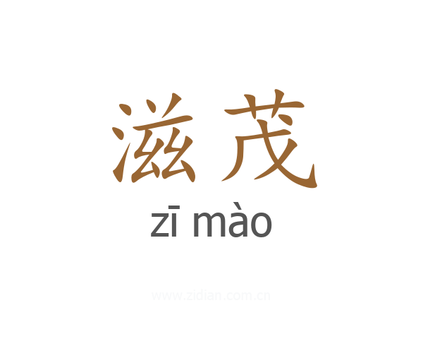 滋茂