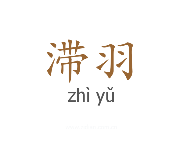 滞羽