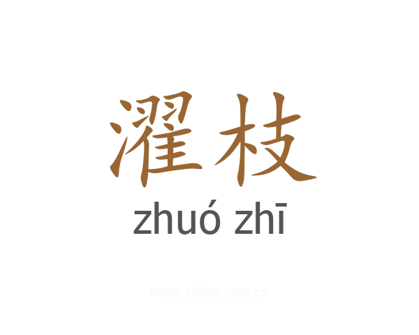 濯枝