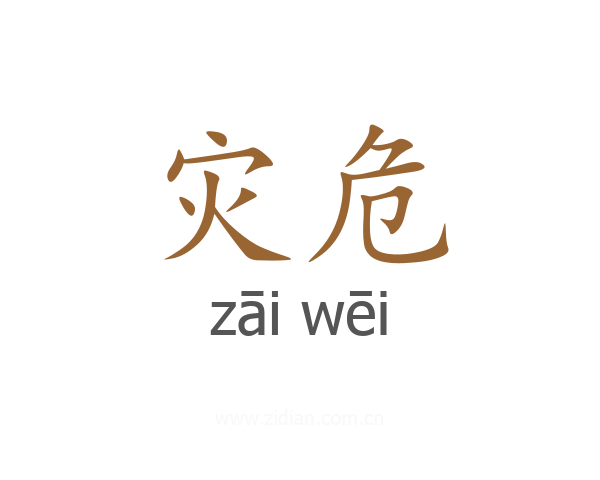 灾危