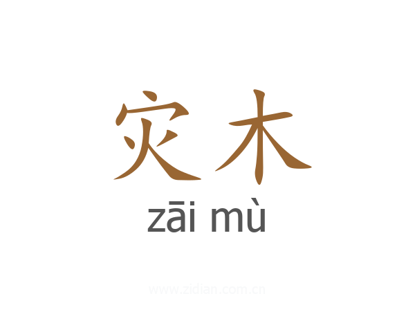 灾木