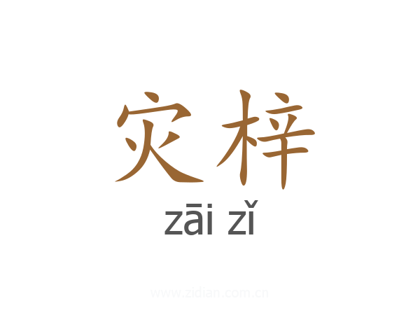 灾梓
