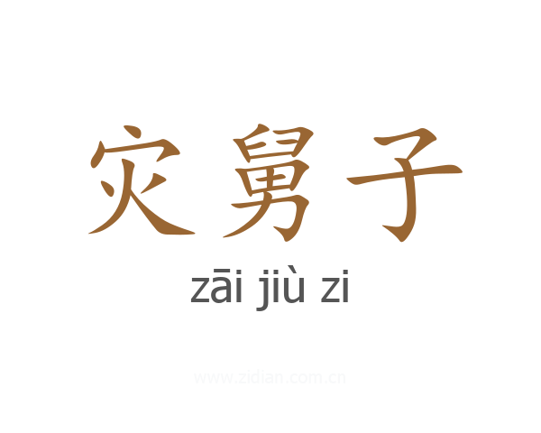灾舅子