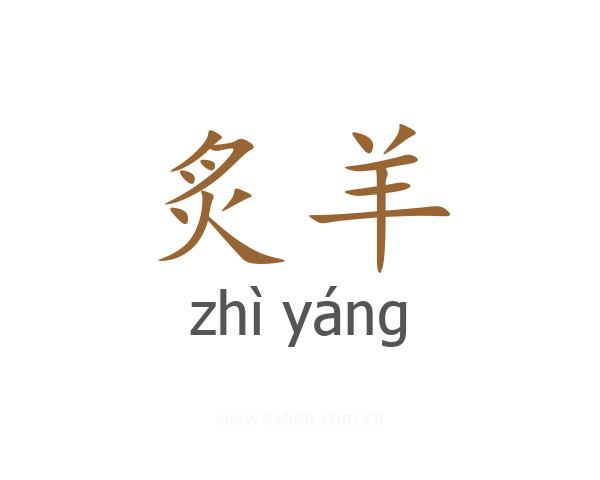 炙羊