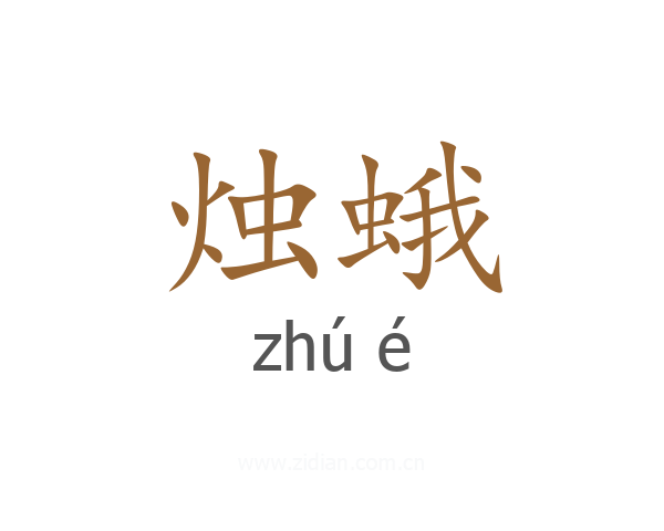 烛蛾