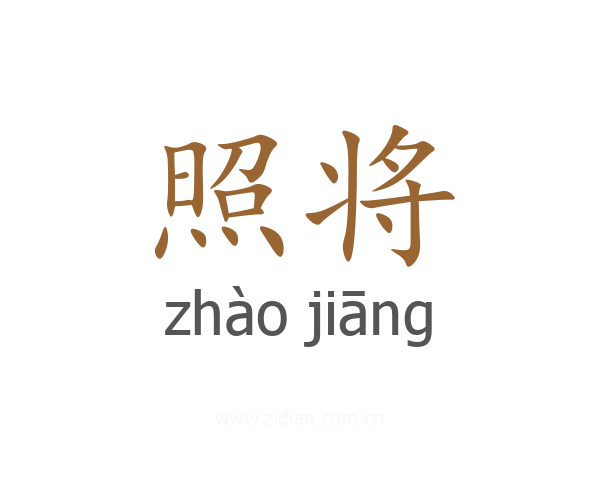 照将