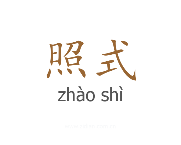 照式