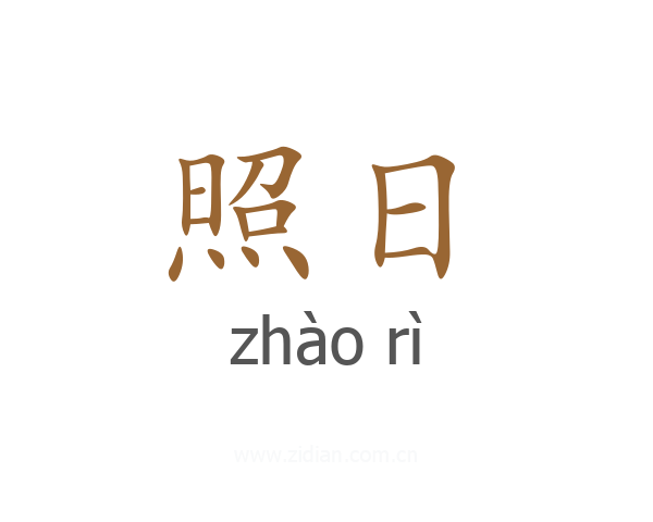 照日