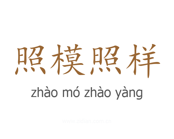 照模照样