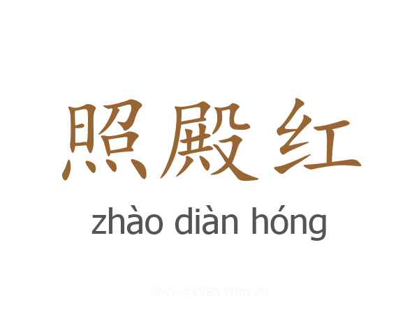 照殿红