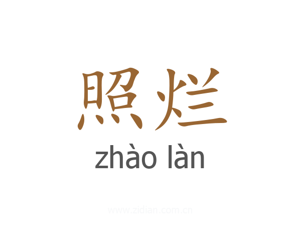照烂