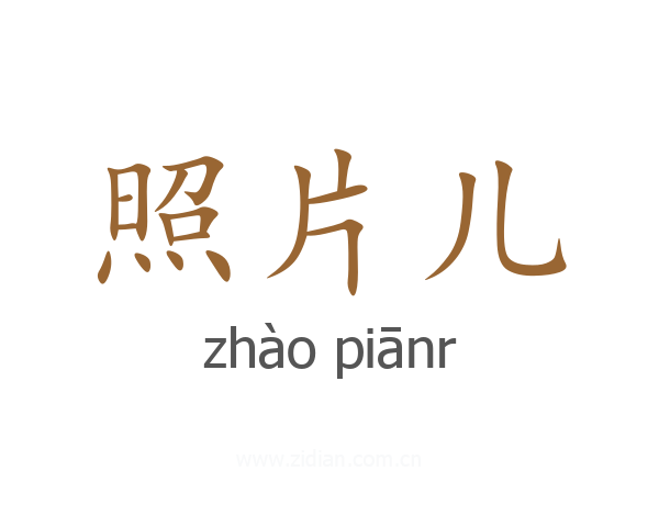 照片儿