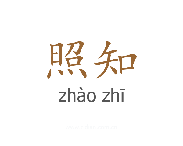 照知